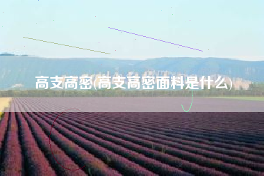 高支高密(高支高密面料是什么)