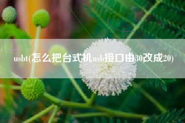 usbt(怎么把台式机usb接口由30改成20)