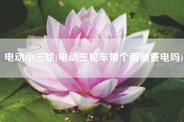 电动小三轮(电动三轮车带个雨棚费电吗)