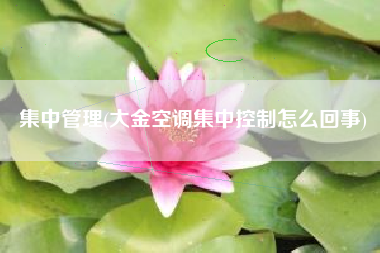 集中管理(大金空调集中控制怎么回事)