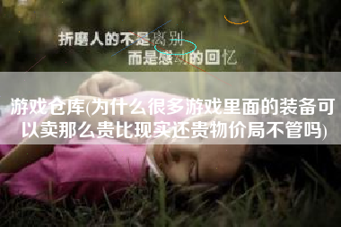 游戏仓库(为什么很多游戏里面的装备可以卖那么贵比现实还贵物价局不管吗)
