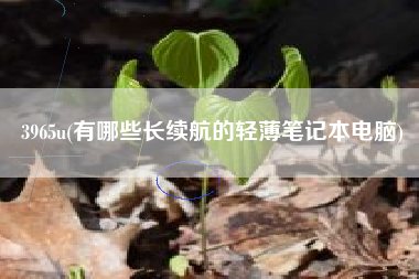3965u(有哪些长续航的轻薄笔记本电脑)