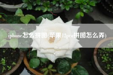 iphone怎么拼图(苹果12pro拼图怎么弄)