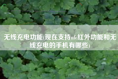 无线充电功能(现在支持nfc红外功能和无线充电的手机有哪些)
