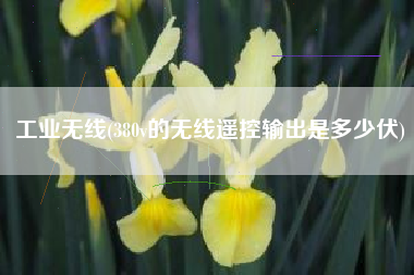 工业无线(380v的无线遥控输出是多少伏)