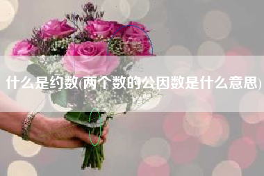 什么是约数(两个数的公因数是什么意思)