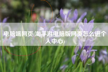 电脑端网页(淘手游电脑版网页怎么进个人中心)