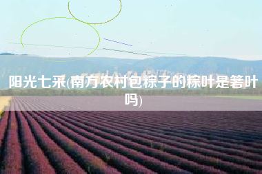 阳光七采(南方农村包粽子的粽叶是箬叶吗)
