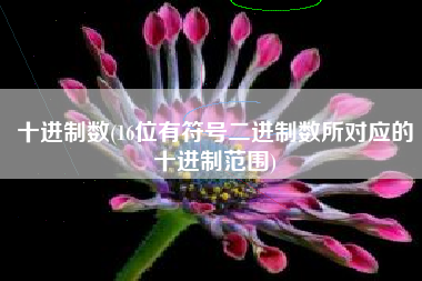 十进制数(16位有符号二进制数所对应的十进制范围)