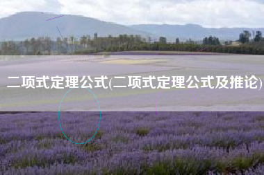 详细阅读:二项式定理公式(二项式定理公式及推论) 二项式定理公式(二项式定理公式及推论)
