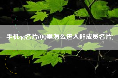 手机qq名片(QQ里怎么进入群成员名片)