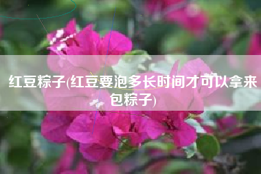 红豆粽子(红豆要泡多长时间才可以拿来包粽子)