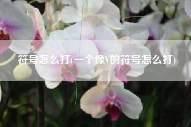 符号怎么打(一个像V的符号怎么打)