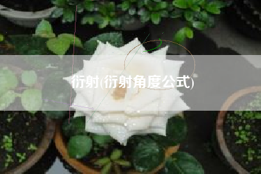 衍射(衍射角度公式)