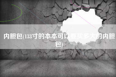 内胆包(133寸的本本可以要买多大的内胆包)