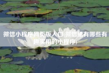 微信小程序网页版入口(微信里有哪些有趣实用的小程序)