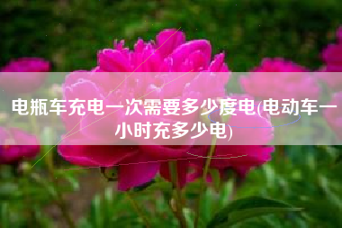 电瓶车充电一次需要多少度电(电动车一小时充多少电)