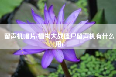 留声机唱片(植物大战僵尸留声机有什么用)