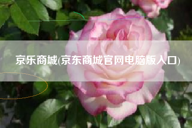 京乐商城(京东商城官网电脑版入口)