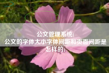 公文管理系统(
公文的字体大小字体间距和页面间距是怎样的) 公文管理系统(
公文的字体大小字体间距和页面间距是怎样的)