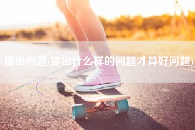 提出问题(提出什么样的问题才算好问题)