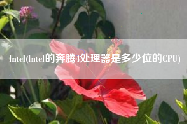 lntel(lntel的奔腾4处理器是多少位的CPU)