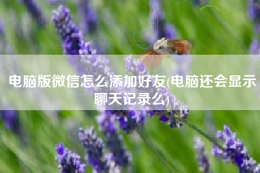 电脑版微信怎么添加好友(电脑还会显示聊天记录么)