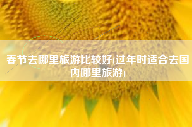 春节去哪里旅游比较好(过年时适合去国内哪里旅游)