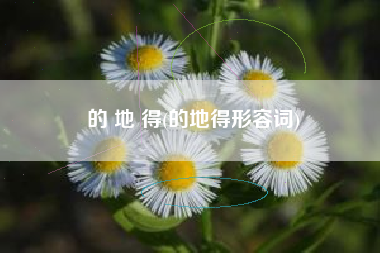 的 地 得(的地得形容词)