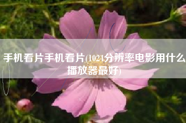 手机看片手机看片(1024分辨率电影用什么播放器最好)