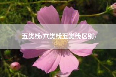 五类线(六类线五类线区别)