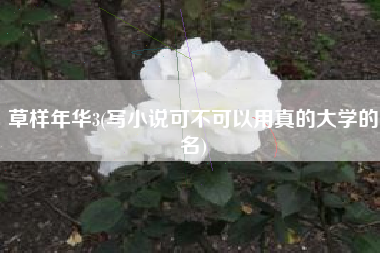 草样年华3(写小说可不可以用真的大学的名)