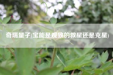 奇瑞量子(宝能是观致的救星还是克星)