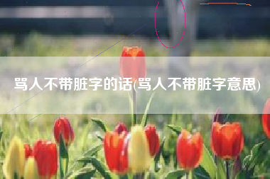 骂人不带脏字的话(骂人不带脏字意思)