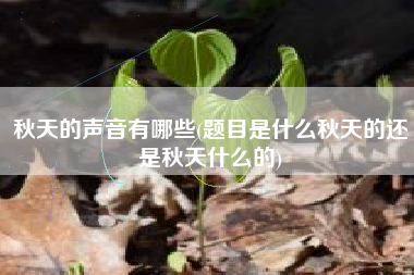 秋天的声音有哪些(题目是什么秋天的还是秋天什么的)