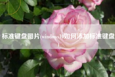 标准键盘图片(windows10如何添加标准键盘)