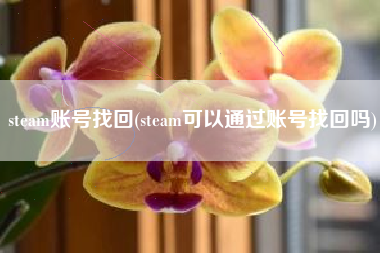 steam账号找回(steam可以通过账号找回吗)
