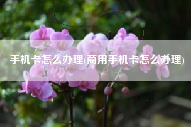 手机卡怎么办理(商用手机卡怎么办理)
