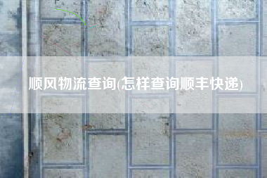 顺风物流查询(怎样查询顺丰快递)