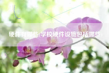 硬件有哪些(学校硬件设施包括哪些)