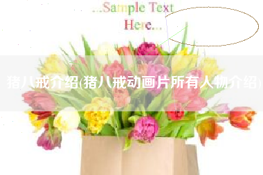 猪八戒介绍(猪八戒动画片所有人物介绍)