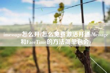 imessage怎么开(怎么免费激活开通iMessage和FaceTime的方法简单包会)