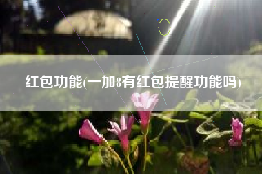 红包功能(一加8有红包提醒功能吗)