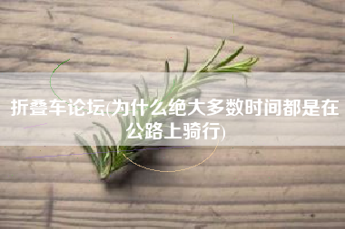 折叠车论坛(为什么绝大多数时间都是在公路上骑行)
