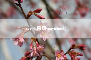 s7700(荣耀magicbook)