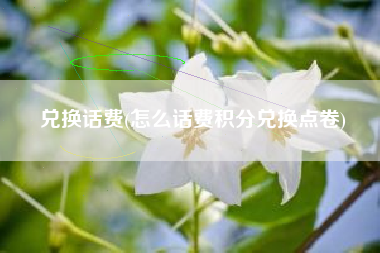 兑换话费(怎么话费积分兑换点卷)