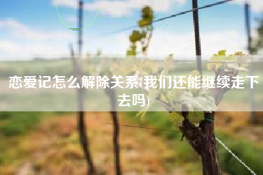 恋爱记怎么解除关系(我们还能继续走下去吗)