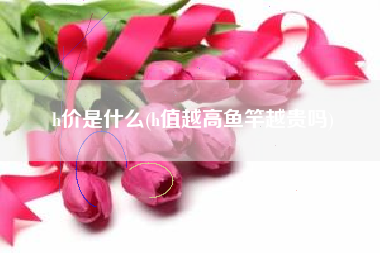 h价是什么(h值越高鱼竿越贵吗)