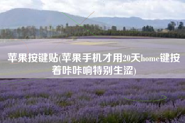 苹果按键贴(苹果手机才用20天home键按着咔咔响特别生涩)