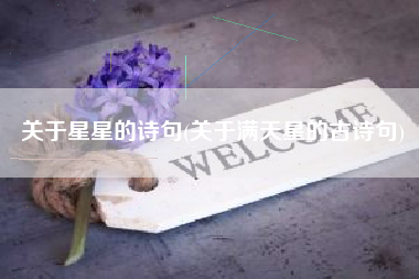 关于星星的诗句(关于满天星的古诗句)